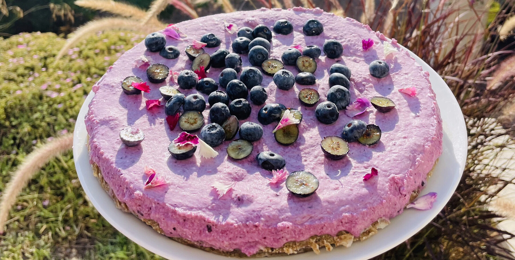 Blueberry and lemon mousse cake on a white plate in a sunny garden, its lilac mousse topped with whole and halved blueberries and pink carnation petals